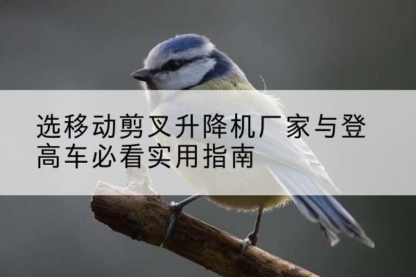 繁峙电动升降机厂家-选移动剪叉升降机厂家与登高车必看实用指南