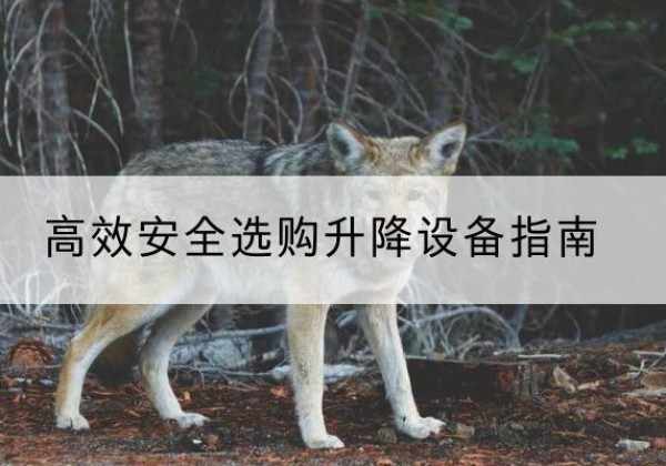 繁峙升降货梯厂家推荐-*安全选购升降设备指南