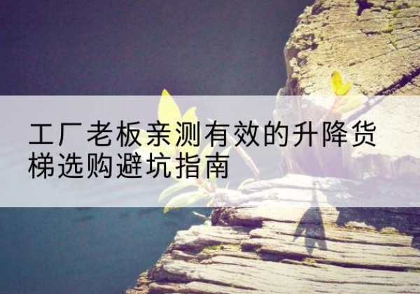 繁峙升降货梯怎么选-工厂老板亲测有效的升降货梯选购避坑指南